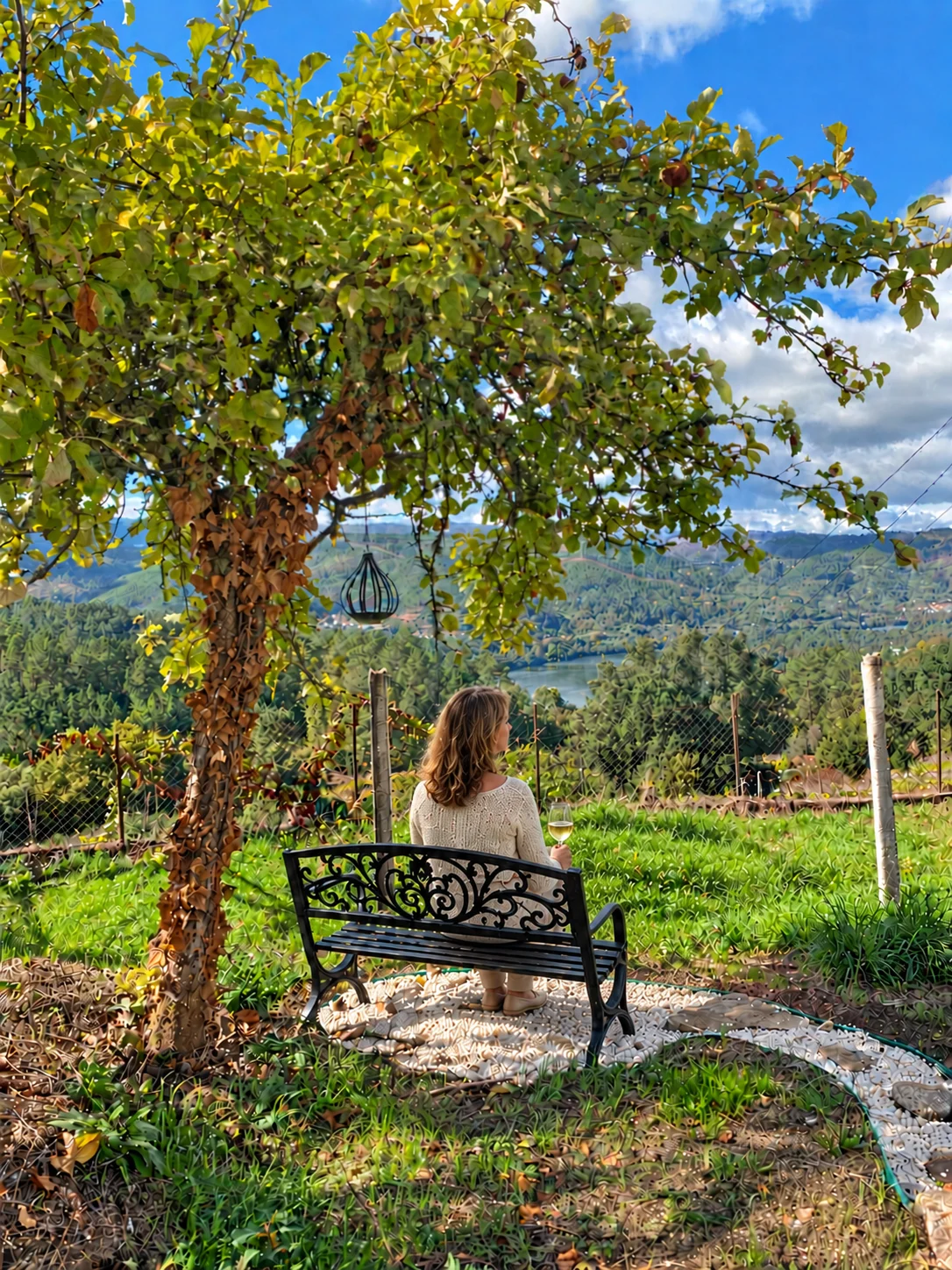 Banco de la finca de Casa Cruceira frente al paisaje del Miño